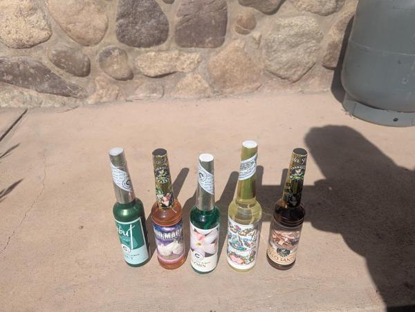 Gasolina Creolina Protection Icaro